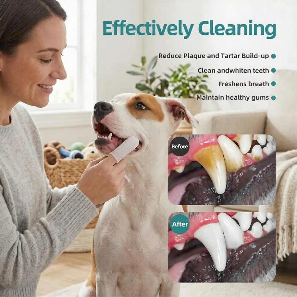 GentleTouch™ Dental Wipes