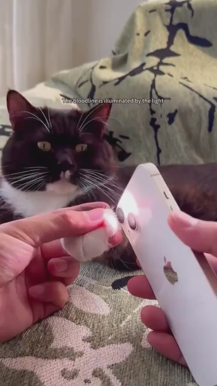 LED Pet Nail Clipper